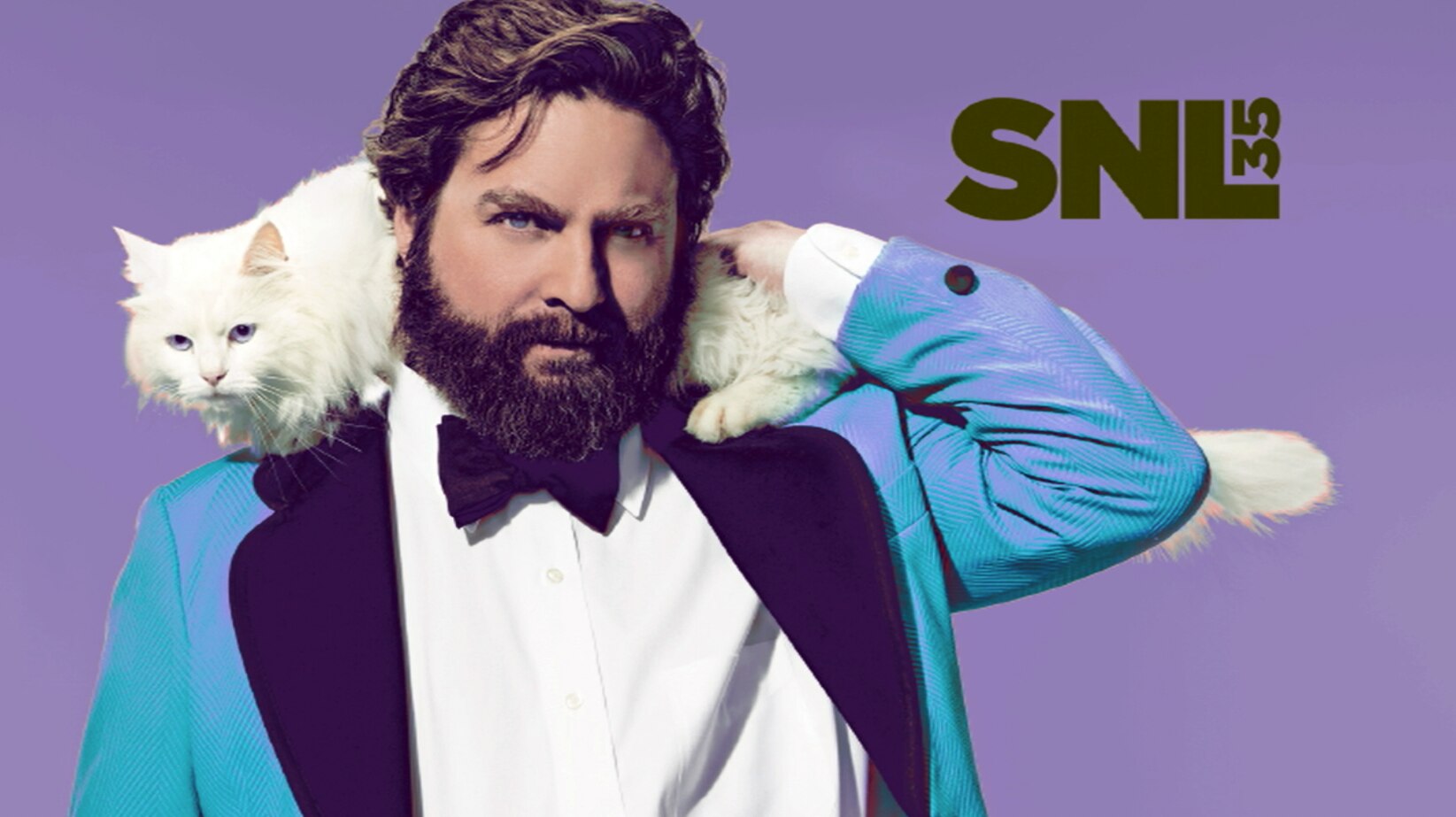 Saturday Night Live Zach Galifianakis Photo 138176